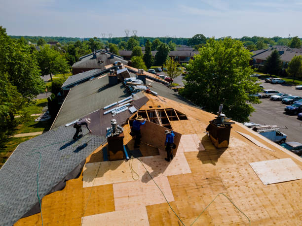 Best Roof Waterproofing Services  in Vandercook Lake, MI
